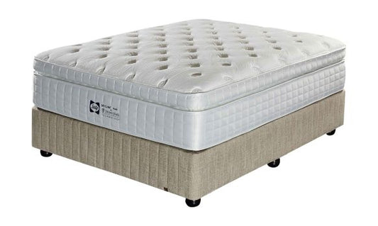 Sealy PLUSH MEDIUM BED SET SPD20266