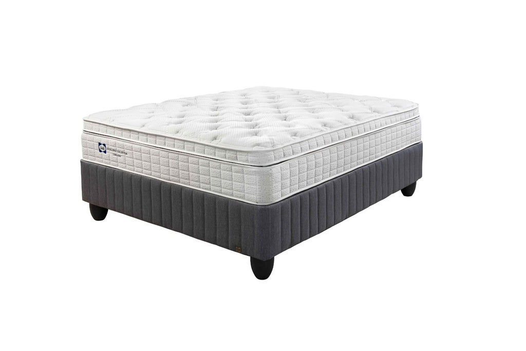 Sealy PLUSH QUEEN BED SET  CPQ20251