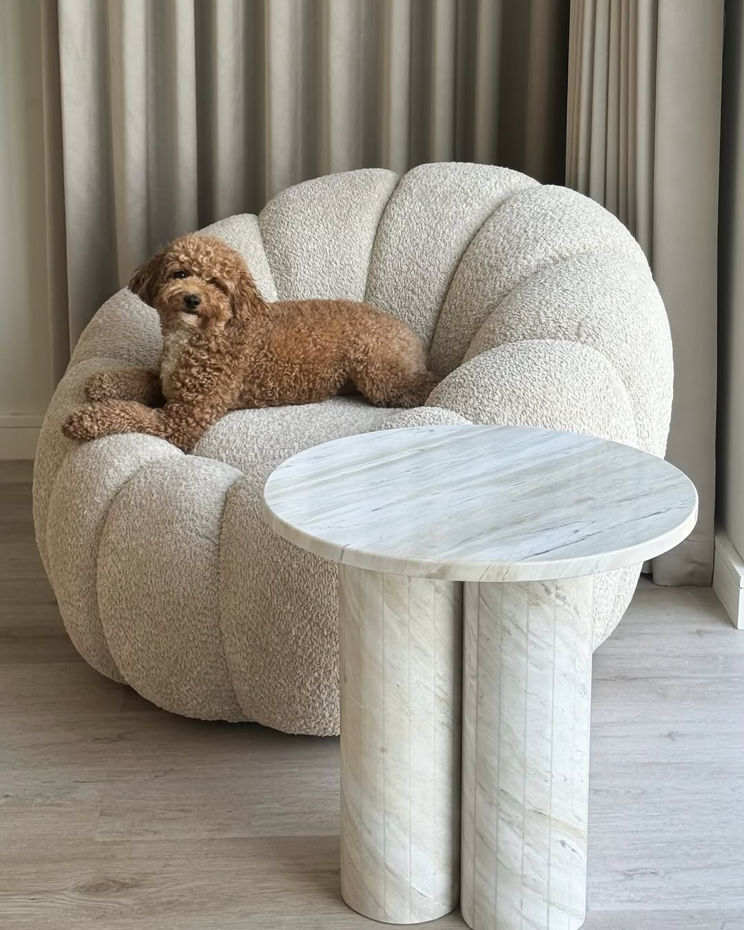 CUMULUS CASUAL CHAIR